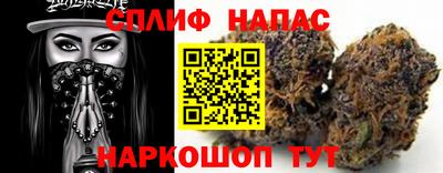 сатива Коммунар